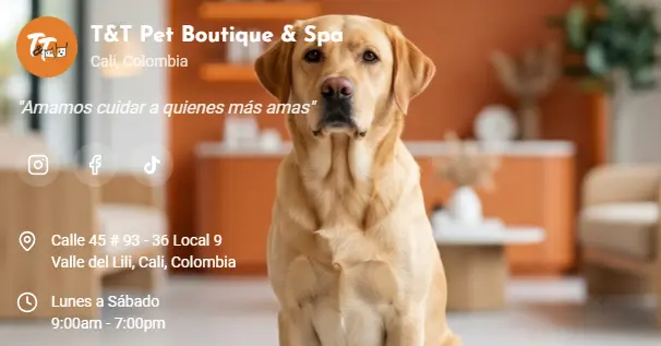T&T Pet Boutique & Spa